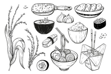 Rice vector icon set in sketch style. Collection of icons of rice products: noodles, sushi, mochi rice cake, porridge.