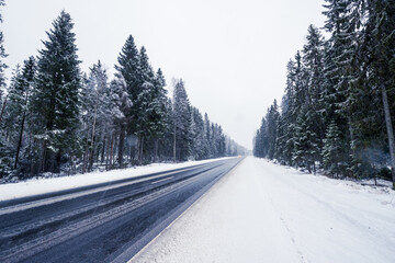 The lights of an approaching car on a winter road during a snowfall passing through a spruce forest. View from the side of the road, image in the blue toning