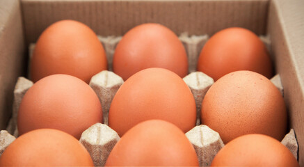 Chicken eggs