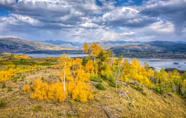 Naklejka premium Fall