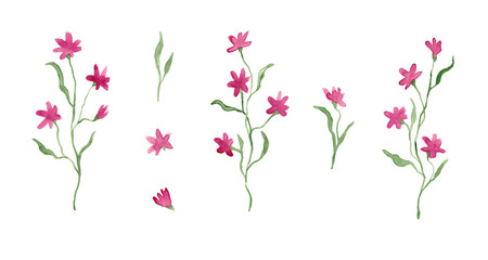 Little pink flowers, watercolor painting - hand drawn blossom isolated on white background