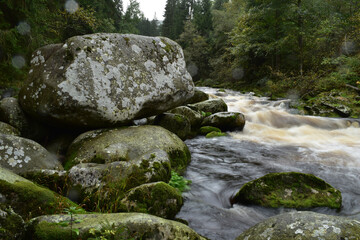 Naklejka na ściany i meble Big stone by flowing river in forest, water landscape in rainy weather
