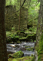 Ruins of an old mill in the woods next to the river, forest landscape