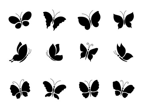 A set of different butterfly silhouettes.