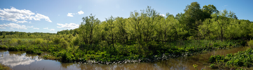Pano of Swamp