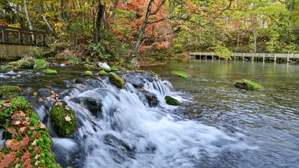 豊富な湧水が湧き出る公園の晩秋の情景＠羊蹄山、北海道