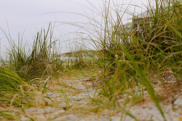 Pathway leading to beach displaying grass and gravel.