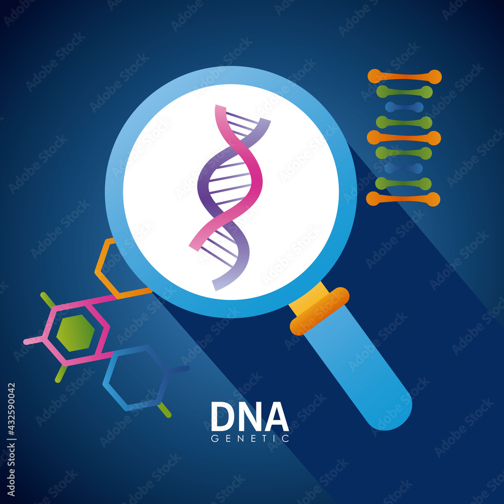 Poster dna and magnifying