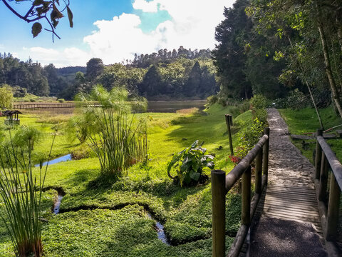 view of the river in the mountains