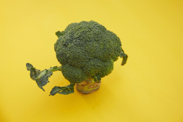 Closeup shot of green broccoli on a yellow background
