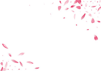Fototapeta na wymiar White Flower Petal Vector White Background. Pastel Free Cherry Petal Texture. Lotus Petal Bright Cover. Soft Rose Petal Card.