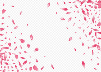 Fototapeta na wymiar Purple Leaf Vector Transparent Background. Petal Nature Banner. Floral Wallpaper Cover. Bloom Invitation Illustration. Color Rosa Dream Congratulation.