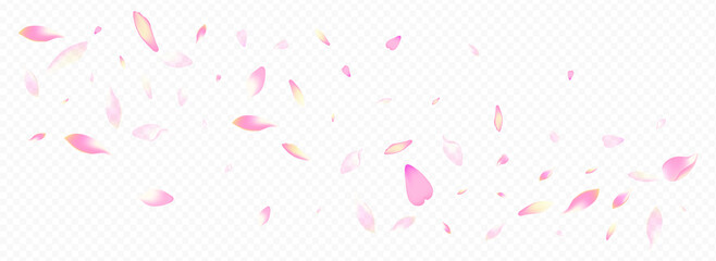 Bright Cherry Vector Panoramic Transparent Background. Peach Down Template. Petal Wind Design. Leaf Garden Pattern. Purple Bloom March Card.