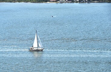 Obraz premium Sailboat on the Lake