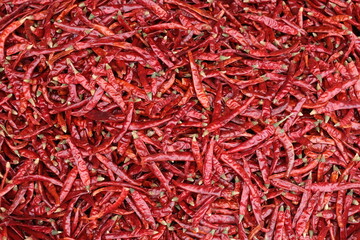 Fototapeta premium bright red dry peppers background