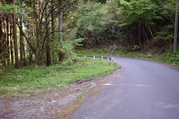 日本　群馬　中之条町　山中風景　道