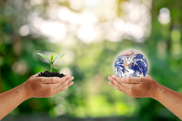 Exchange of planets in the hands of humans with young plants in the hands of humans, concept of Earth Day and Conservation of the Environment.Elements of this image decorated by NASA.