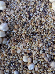 pebbles on the beach
