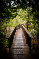 A boardwalk breaks up sections of the trail through Rockwood Conservation Area near Guelph, Ontario as it exits the forest on a rainy day.