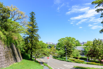 新緑の青葉城址　杜の都仙台