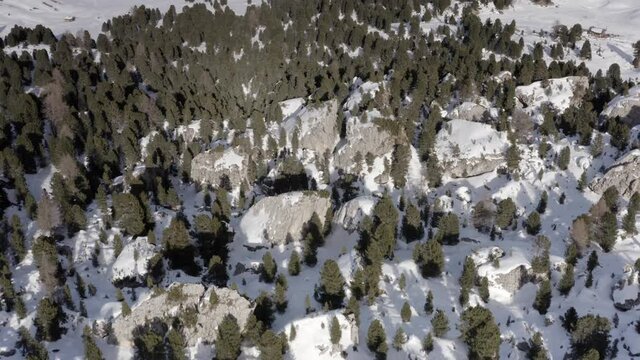 Aerial flight adove Alp Mountains and forest 
High mountain peaks sharp cliffs Dolomites, Italy
Drone view  from Italy Top Peaks 

