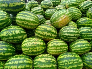 Watermelons on the market