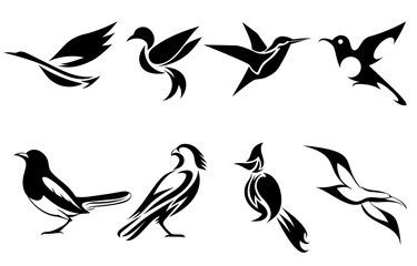 Set of vector images of various birds such as heron hummingbird magpie falcon seagull and Spigot bulbul Good use for symbol mascot icon avatar and logo
