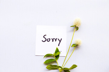 sorry message card handwriting with white flowers arrangement flat lay postcard style on background...