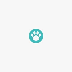 paw icon vector logo
