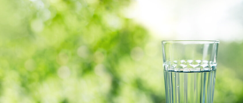 Glass of Drinking Water. Blurred Natural Green Tree as background. Front View. Clean and Minimal with Empty for Copy Space