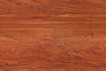 seamless texture of wood