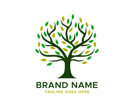 Tree logo icon template design. Garden plant natural line symbol. Black branch with leaves business sign. Vector illustration.