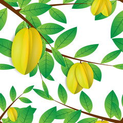 Seamless pattern design of yellow star fruit and natural twigs. with a white background. wallpaper moderns fruit trees and ready to print. vector illustration.