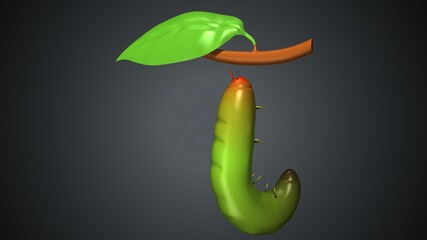 3d illustration of butterfly life cycle stages anatomy. 