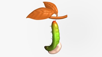 Cocoon tropical butterfly hatch from the pupa. 3d illustration