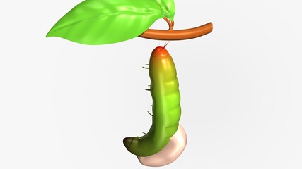 Cocoon tropical butterfly hatch from the pupa. 3d illustration