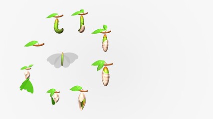 3d illustration of butterfly life cycle.