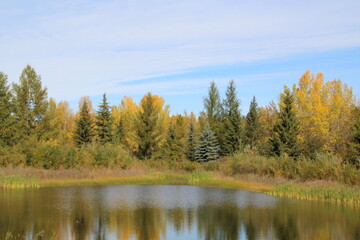 Fototapeta na wymiar Autumn By The Waters, Gold Bar Park, Edmonton, Alberta