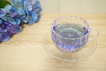 バタフライピー　ハーブティー