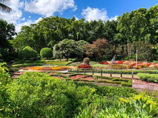 Fototapeta premium Roma Street Parkland, Queensland, Brisbane, Australia