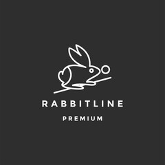 rabbit line logo vector icon illustration on a black background