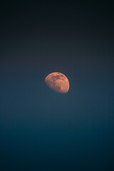 luna © marlon