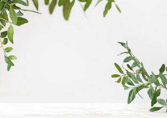 green leaves and branches mock up. white table with copy space for product placement. natural and eco concept. eucaliptus leaves