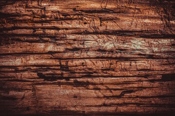 Old wooden background texture plank. nature floor