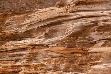 Old wooden background texture plank. surface
