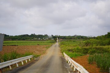宮古島の畑の合間の一本道