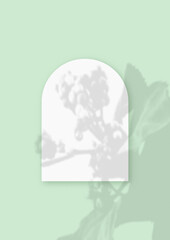 Mockup with vegetable shadows superimposed on a sheet in the shape of an arch of textured white paper on a green table background. Vertical orientation
