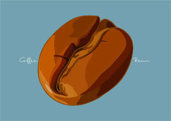 Vector Illustration of Coffee / Coffee Beans / Roasted Coffee Beans