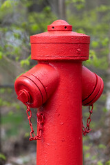 Hydrant am Waldrand