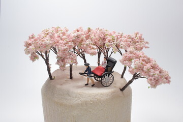 a fun of mini figure Rickshaw at Cherry blossoms